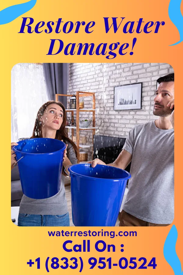 water restoration Horizon Water Damage Company San Pablo