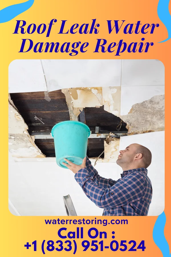 Roof Leak Water Damage Repair in San Pablo, NM