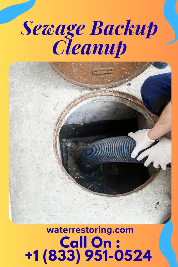 Sewage Backup Cleanup in San Pablo, NM